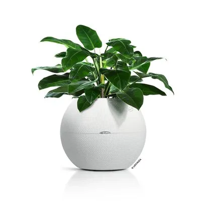LECHUZA Plantenbak PURO Color 50 ALL-IN-ONE ø 49 Cm Wit - Afbeelding 11
