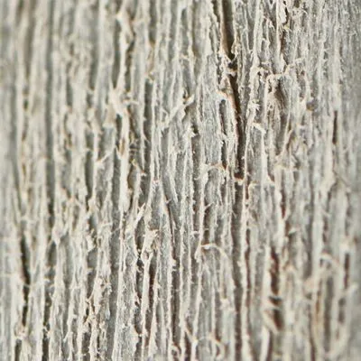 Keter Tuinkast High-Store Plus Grijs - Afbeelding 14