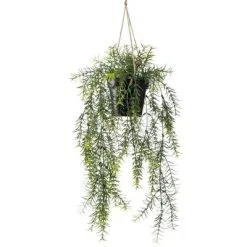 Emerald Kunstplant Hangend In Pot Asparagus 50 Cm