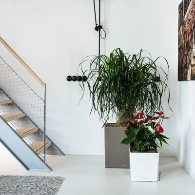 LECHUZA Plantenbak CUBE 30 ALL-IN-ONE Hoogglans Wit - Afbeelding 2