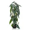 Emerald Kunstplant In Pot Alocasia 75 Cm