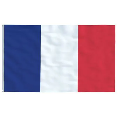 VidaXL Vlag Frankrijk 90x150 Cm