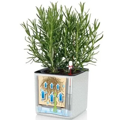 LECHUZA Plantenbakken 3 St Green Wall Home Kit Wit - Afbeelding 2