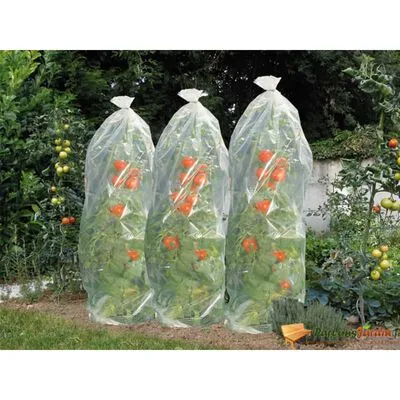 Nature Foliehoes Voor Tomatenteelt 1500x50 Cm - Afbeelding 2