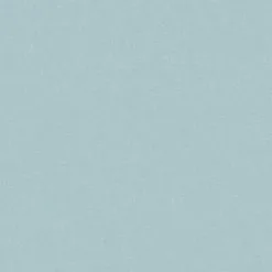 DUTCH WALLCOVERINGS Behang Effen Lichtblauw