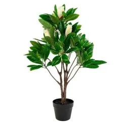 House Nordic Kunstplant Magnolia 90 Cm Groen