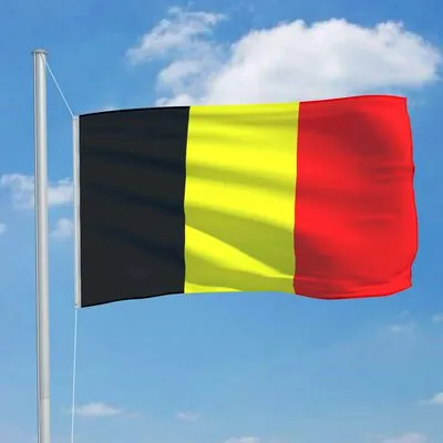 VidaXL Vlag Belgiƫ 90x150 Cm - Afbeelding 3