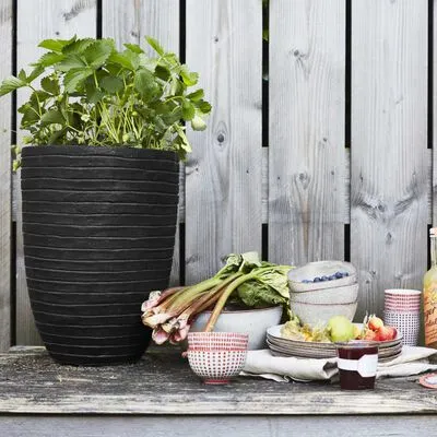 Capi Bloempot Nature Row Elegant Laag 36x47 Cm Zwart KBLRO782 - Afbeelding 3