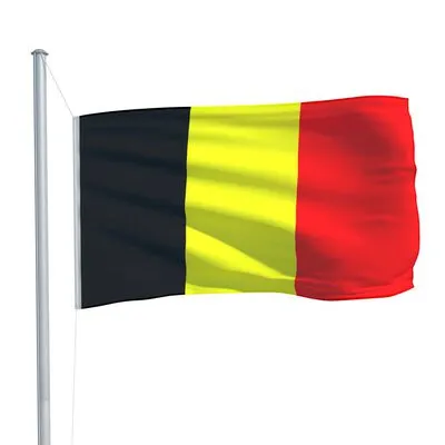 VidaXL Vlag Belgiƫ 90x150 Cm - Afbeelding 4