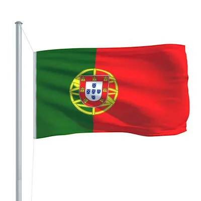 VidaXL Vlag Portugal 90x150 Cm - Afbeelding 4