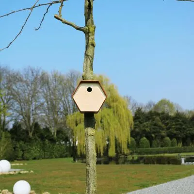 Capi Vogelhuisje Hive 1 19x23x20 Cm Bruin - Afbeelding 5